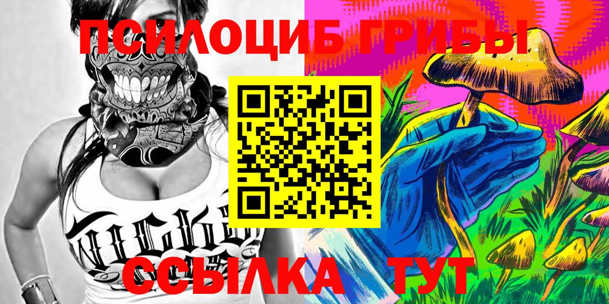 Галлюциногенные грибы Psilocybe Георгиевск