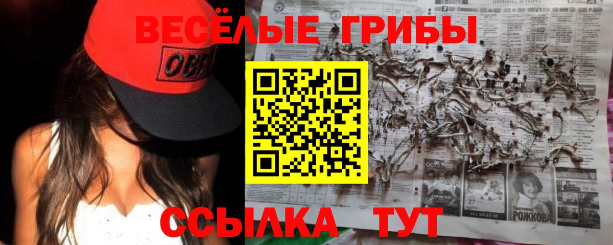 Георгиевск  Галлюциногенные грибы ЛСД  Псилоцибиновые грибы Magic Shrooms  Вход с VPN 